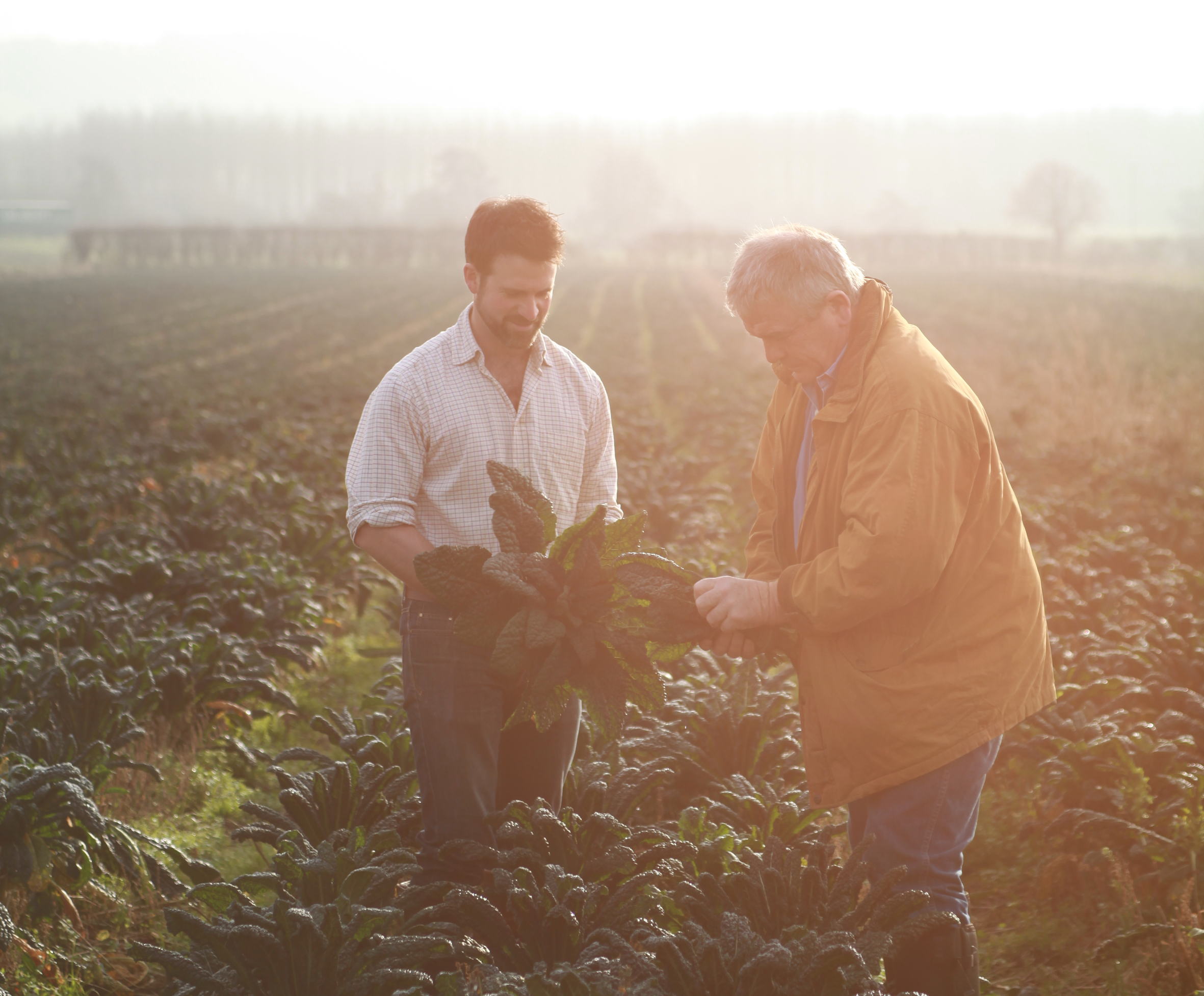 Miele Food Heroes Abel and Cole Farms