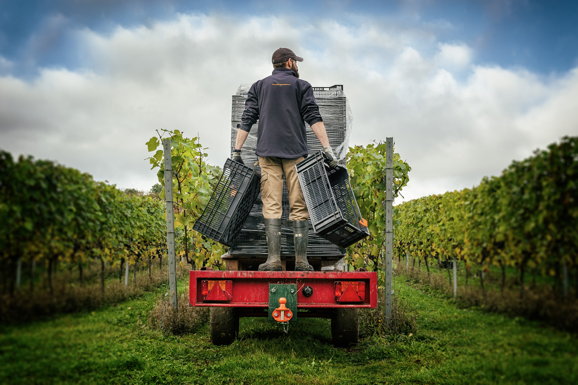 Miele Hattingley Valley Harvest