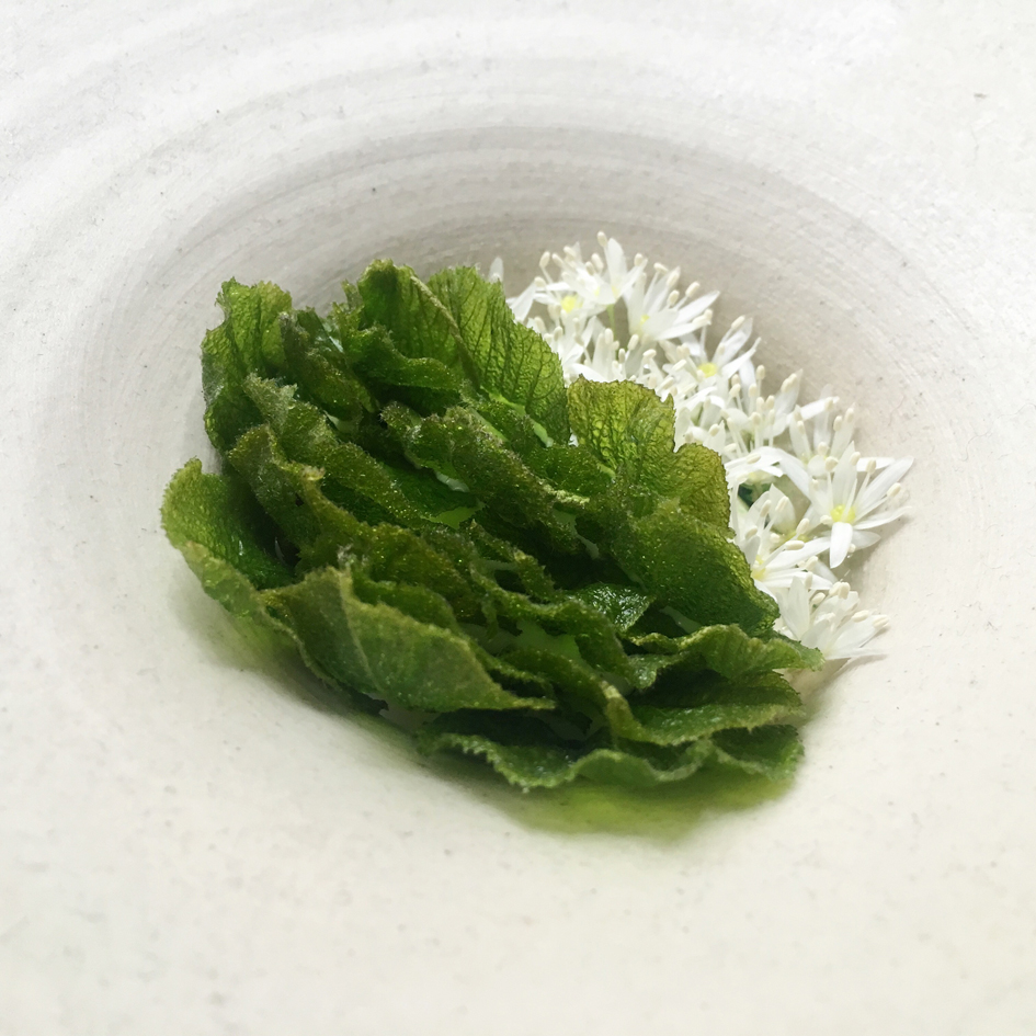Miele Martyn Mied Seaweed Dish