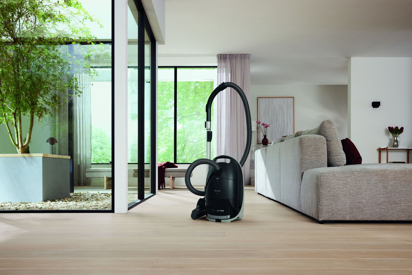 Choosing a Vacuum - Cored Vacuum  (Miele Guard M1 Cat & Dog